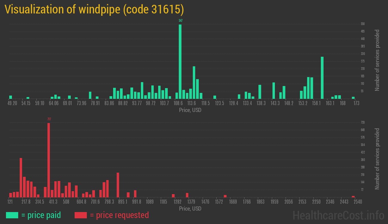 Visualization of windpipe